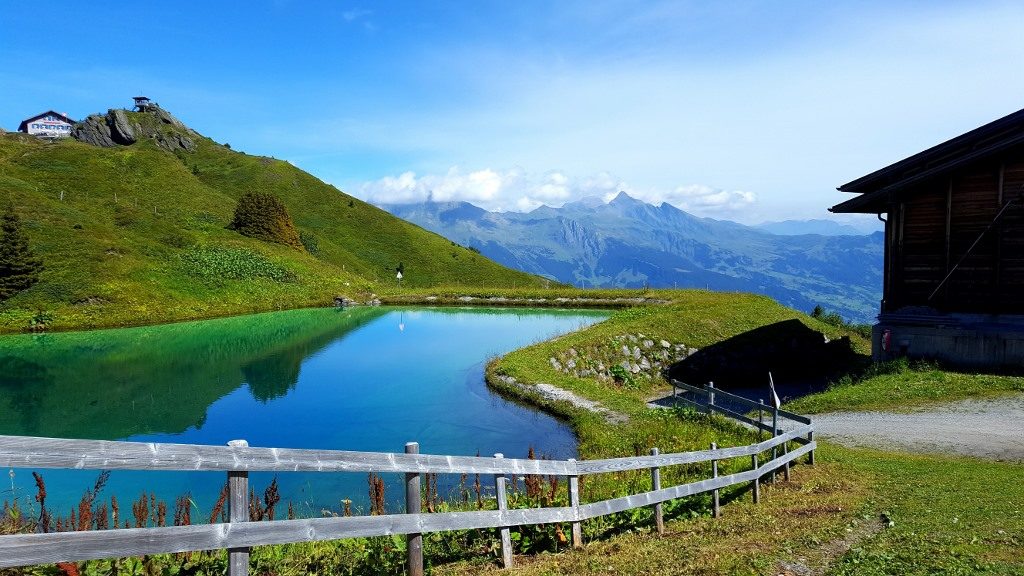 tailor made tours of switzerland