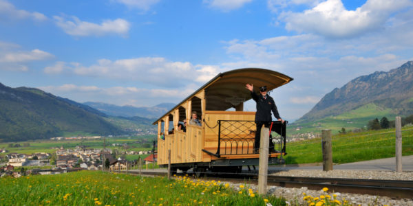 Switzerland private sightseeing tour